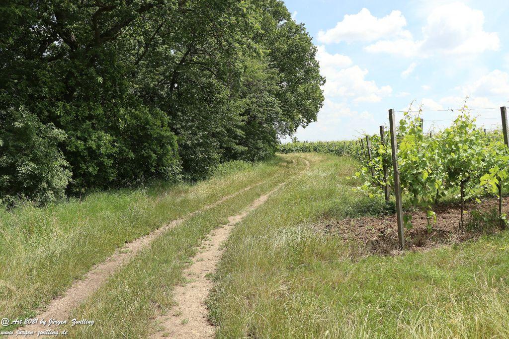 Philosophische Bildwanderung Vitaltour Eremitenpfad - Bretzenheim an der Nahe - Rheinhessen