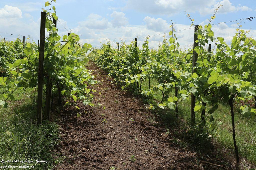Philosophische Bildwanderung Vitaltour Eremitenpfad - Bretzenheim an der Nahe - Rheinhessen