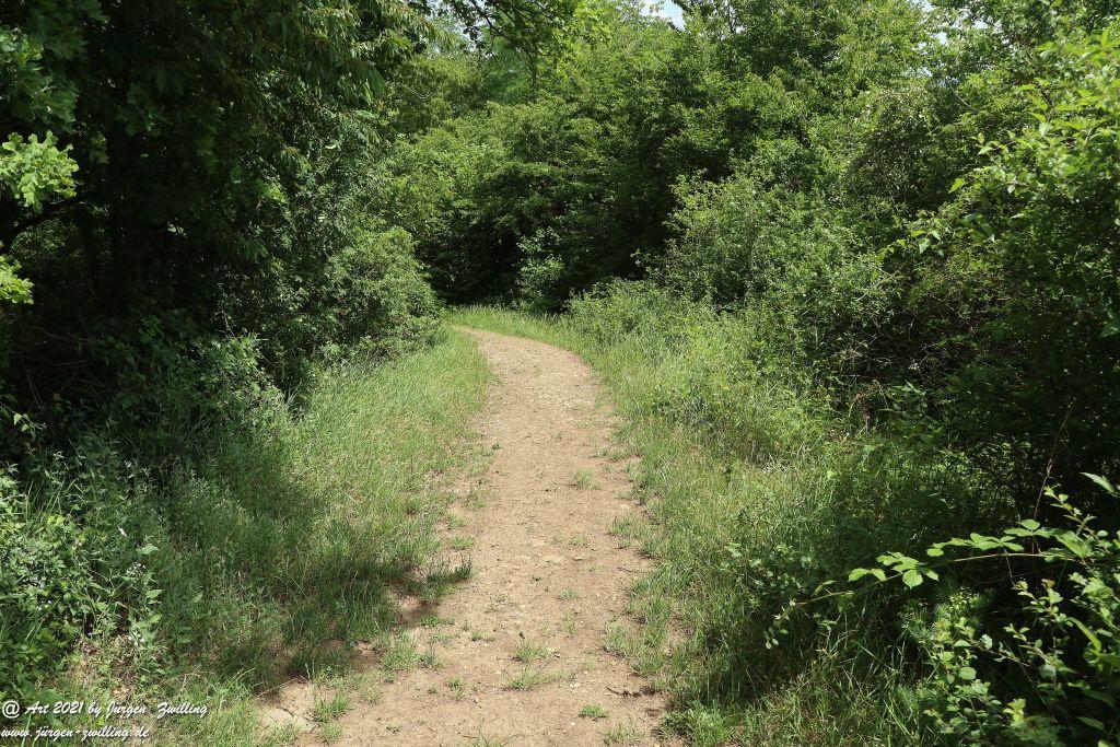 Philosophische Bildwanderung Vitaltour Eremitenpfad - Bretzenheim an der Nahe - Rheinhessen