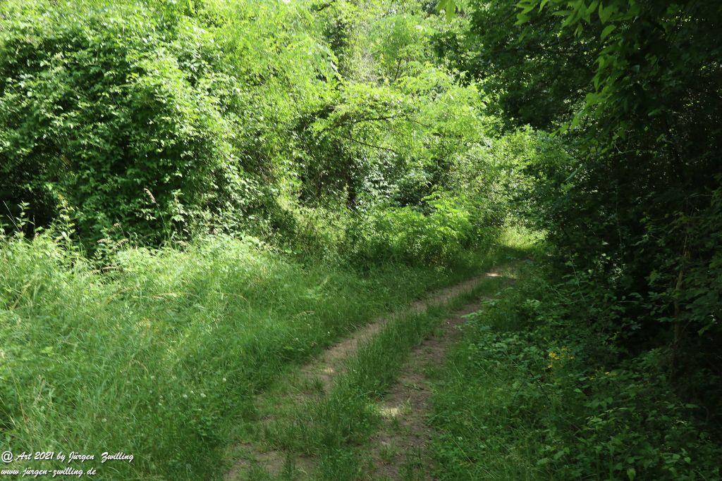 Philosophische Bildwanderung Vitaltour Eremitenpfad - Bretzenheim an der Nahe - Rheinhessen