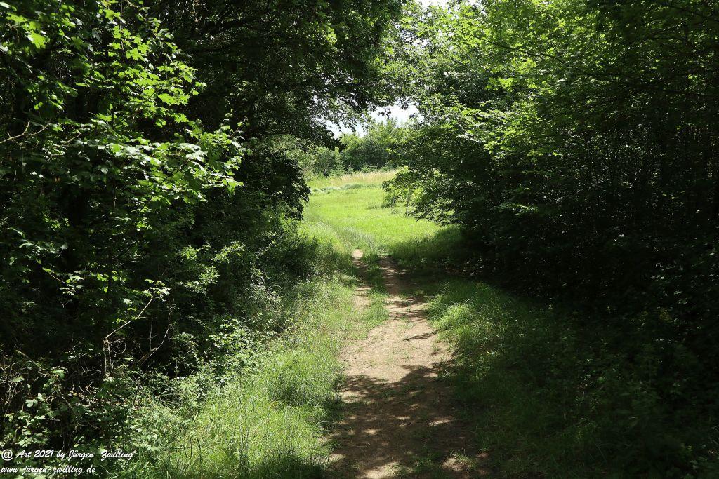 Philosophische Bildwanderung  Vitaltour Eremitenpfad - Bretzenheim an der Nahe - Rheinhessen