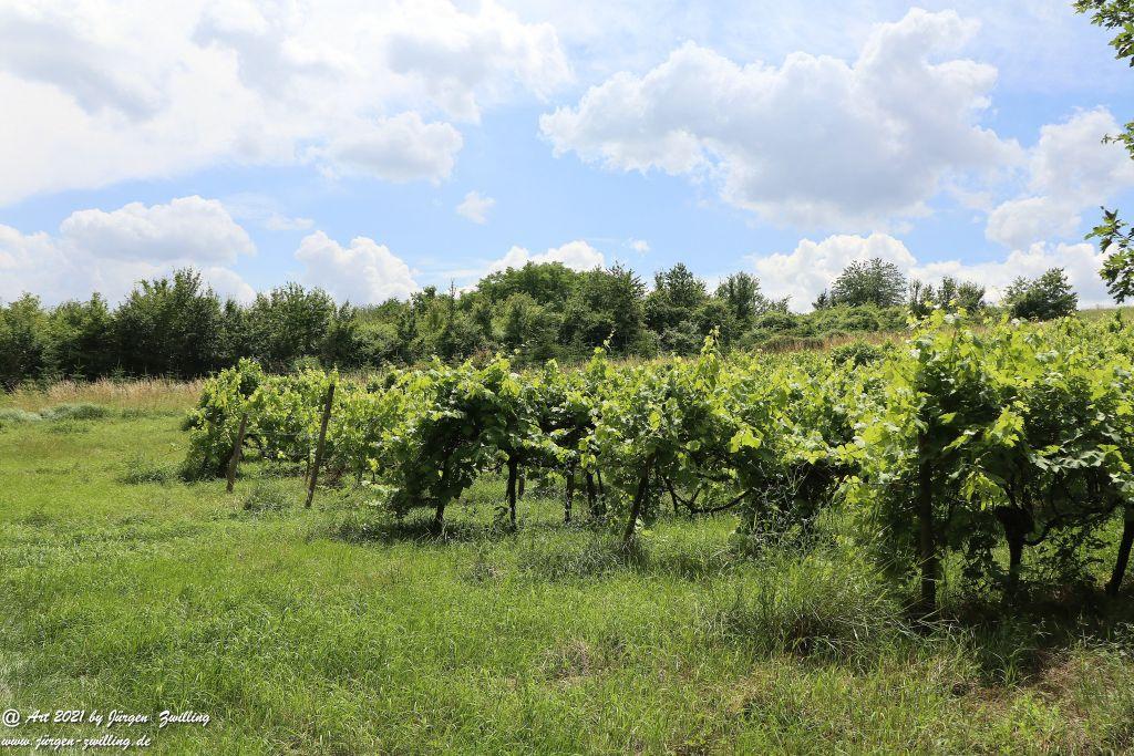 Philosophische Bildwanderung Vitaltour Eremitenpfad - Bretzenheim an der Nahe - Rheinhessen