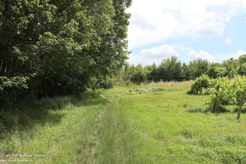 Philosophische Bildwanderung Vitaltour Eremitenpfad - Bretzenheim an der Nahe - Rheinhessen