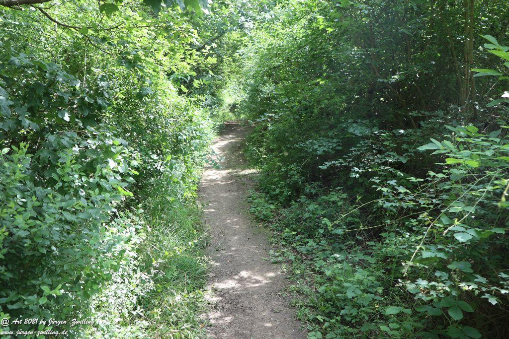 Philosophische Bildwanderung Vitaltour Eremitenpfad - Bretzenheim an der Nahe - Rheinhessen