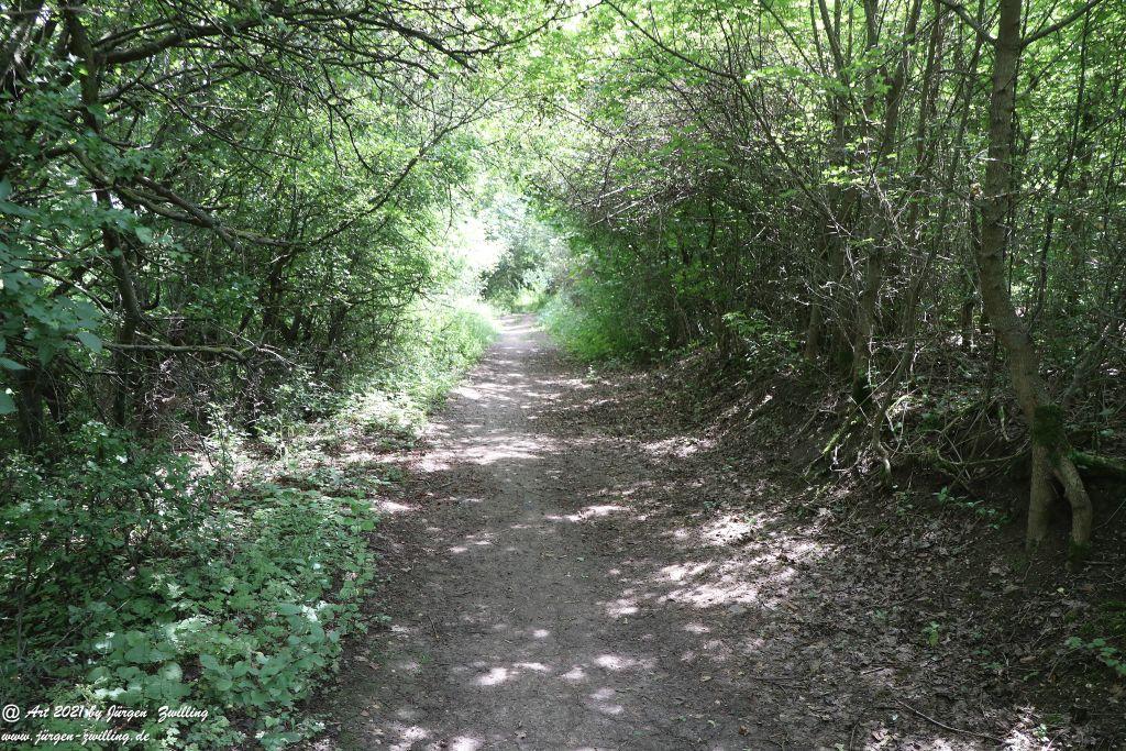 Philosophische Bildwanderung Vitaltour Eremitenpfad - Bretzenheim an der Nahe - Rheinhessen