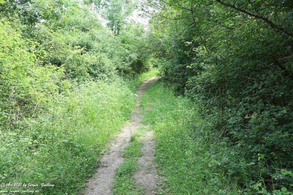 Philosophische Bildwanderung  Vitaltour Eremitenpfad - Bretzenheim an der Nahe - Rheinhessen
