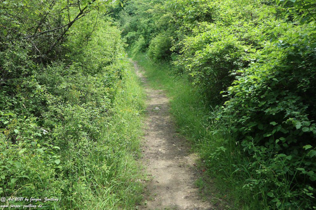 Philosophische Bildwanderung Vitaltour Eremitenpfad - Bretzenheim an der Nahe - Rheinhessen