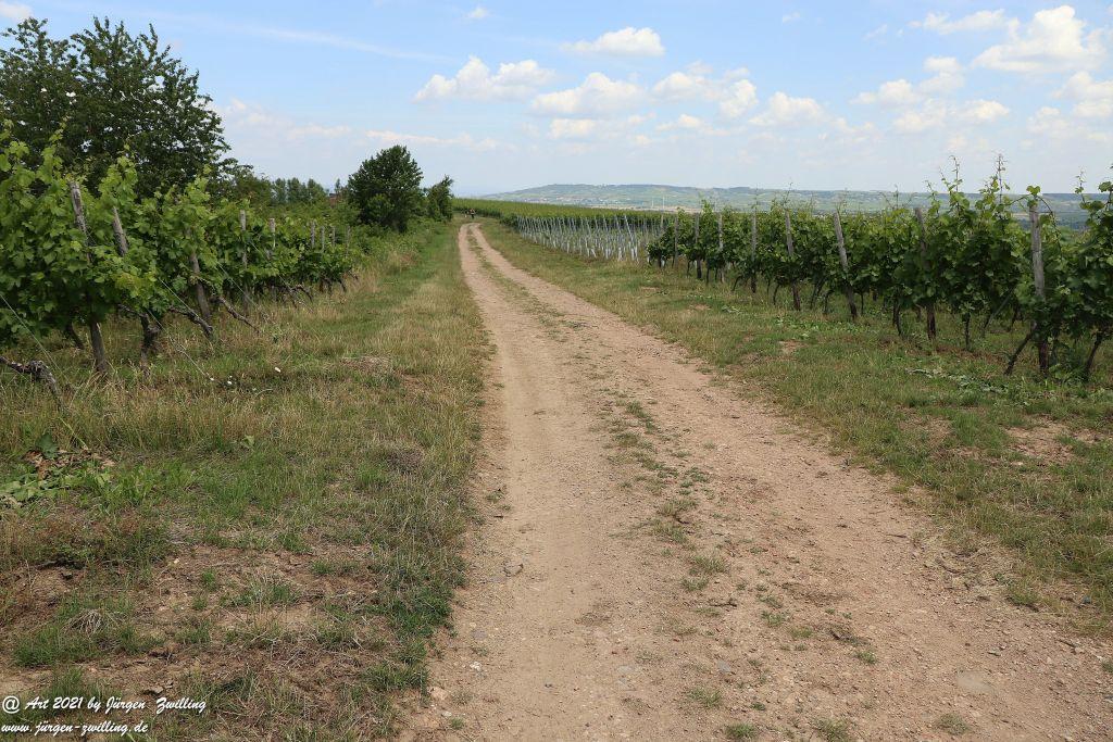 Philosophische Bildwanderung Vitaltour Eremitenpfad - Bretzenheim an der Nahe - Rheinhessen