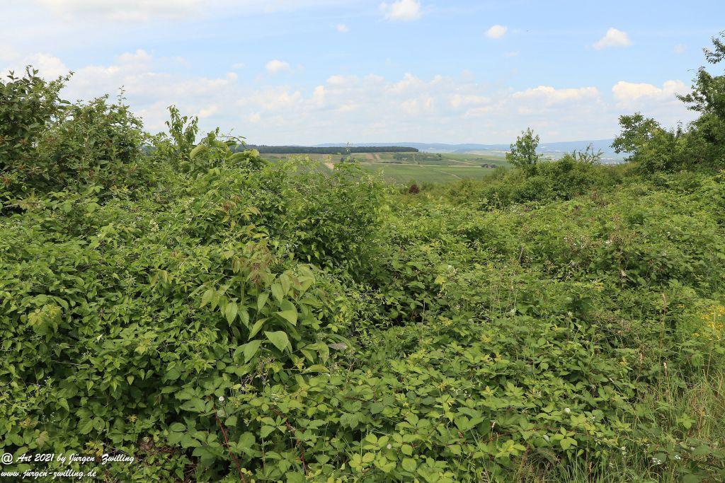 Philosophische Bildwanderung Vitaltour Eremitenpfad - Bretzenheim an der Nahe - Rheinhessen