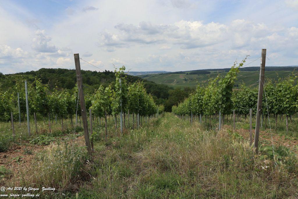 Philosophische Bildwanderung Vitaltour Eremitenpfad - Bretzenheim an der Nahe - Rheinhessen