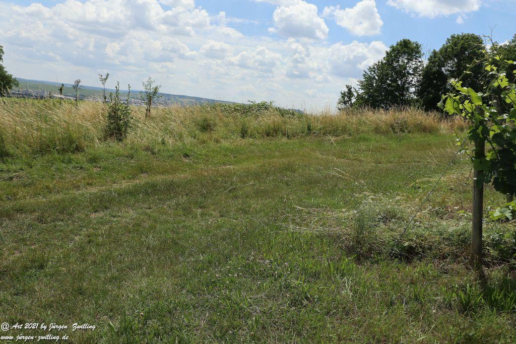 Philosophische Bildwanderung Vitaltour Eremitenpfad - Bretzenheim an der Nahe - Rheinhessen