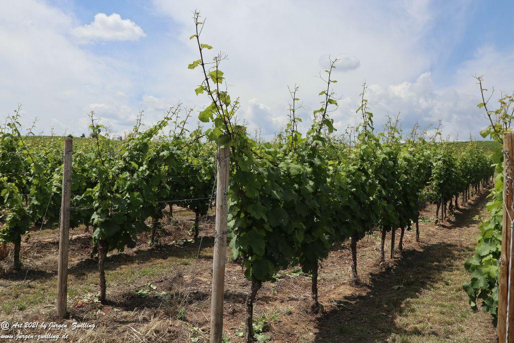 Philosophische Bildwanderung Vitaltour Eremitenpfad - Bretzenheim an der Nahe - Rheinhessen