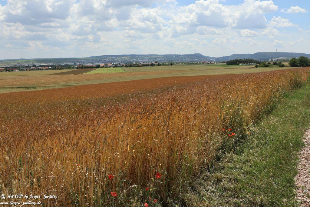 Philosophische Bildwanderung Vitaltour Eremitenpfad - Bretzenheim an der Nahe - Rheinhessen