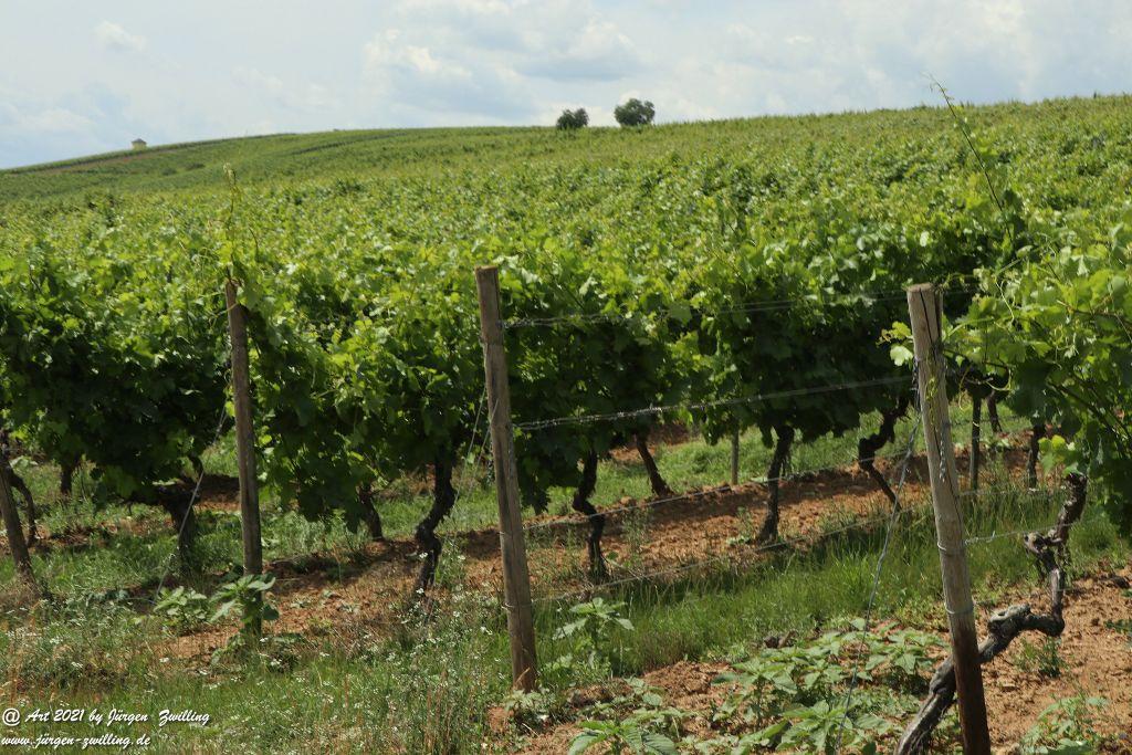 Philosophische Bildwanderung Vitaltour Eremitenpfad - Bretzenheim an der Nahe - Rheinhessen