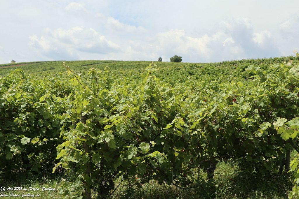 Philosophische Bildwanderung Vitaltour Eremitenpfad - Bretzenheim an der Nahe - Rheinhessen