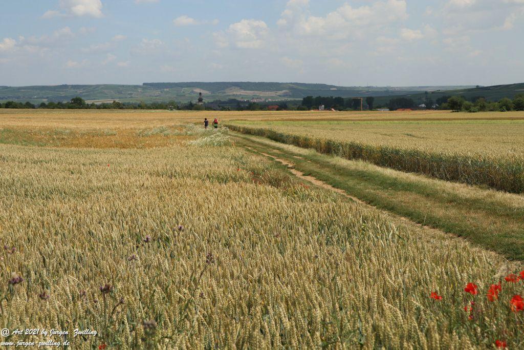 Philosophische Bildwanderung Vitaltour Eremitenpfad - Bretzenheim an der Nahe - Rheinhessen