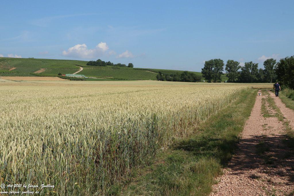 Philosophische Bildwanderung Vitaltour Eremitenpfad - Bretzenheim an der Nahe - Rheinhessen