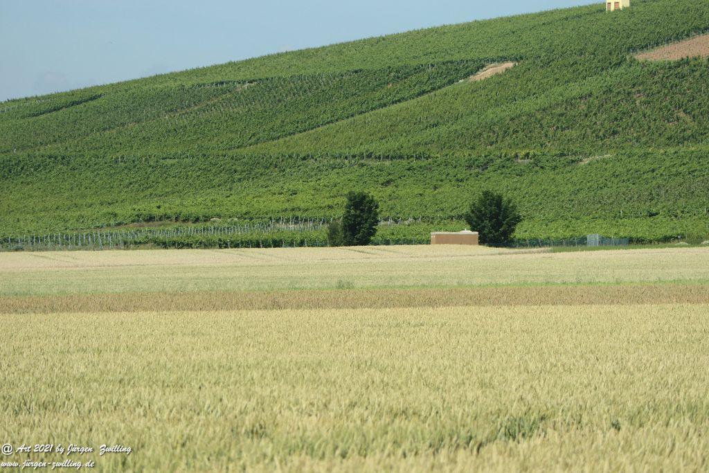 Philosophische Bildwanderung Vitaltour Eremitenpfad - Bretzenheim an der Nahe - Rheinhessen