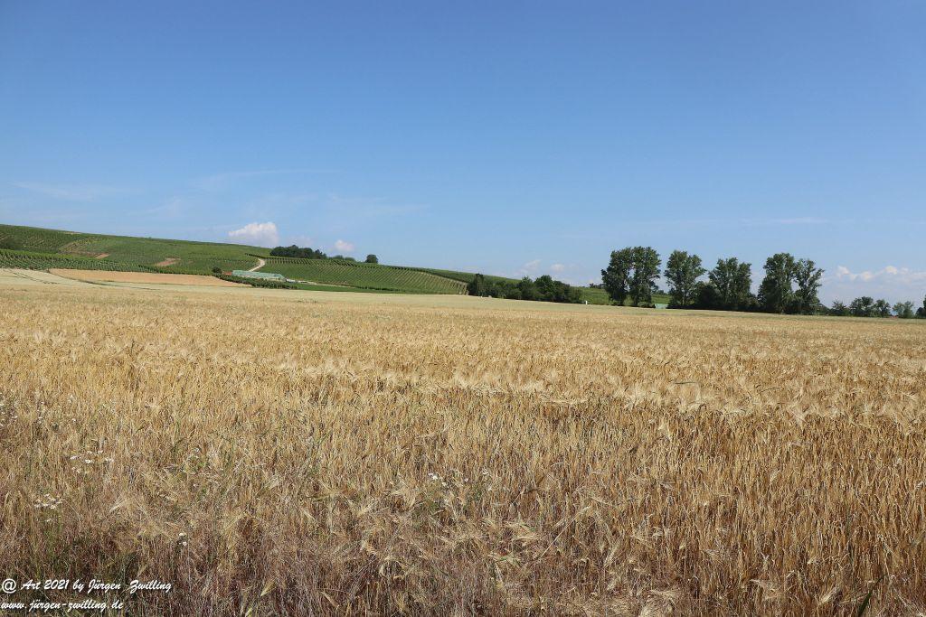Philosophische Bildwanderung Vitaltour Eremitenpfad - Bretzenheim an der Nahe - Rheinhessen
