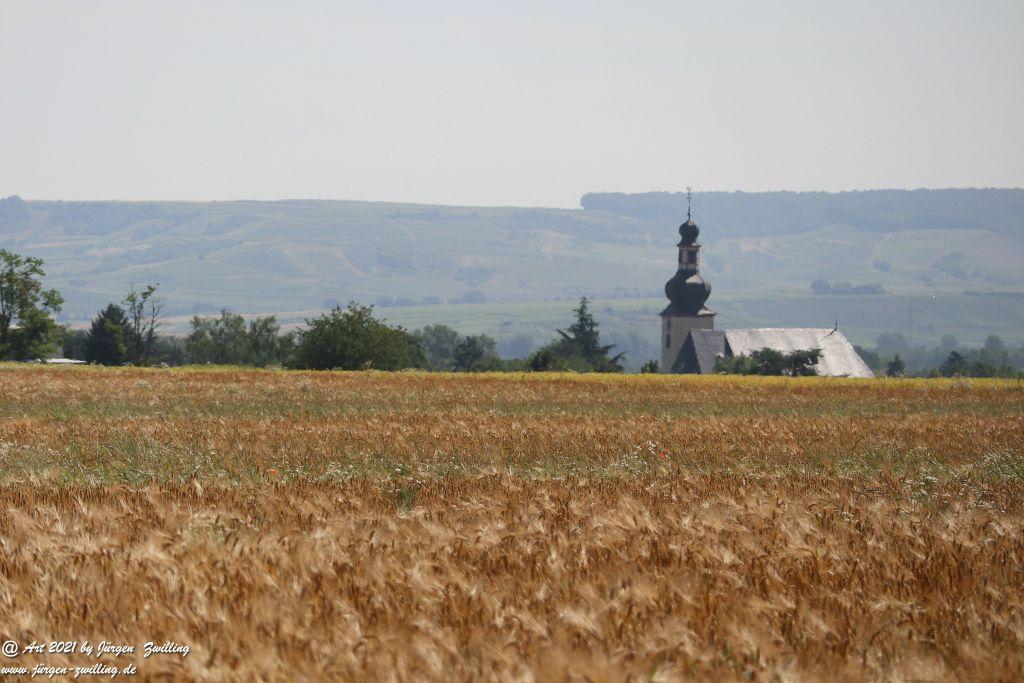 Philosophische Bildwanderung Vitaltour Eremitenpfad - Bretzenheim an der Nahe - Rheinhessen