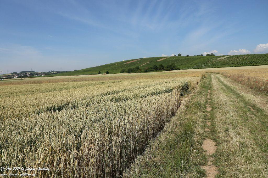 Philosophische Bildwanderung Vitaltour Eremitenpfad - Bretzenheim an der Nahe - Rheinhessen