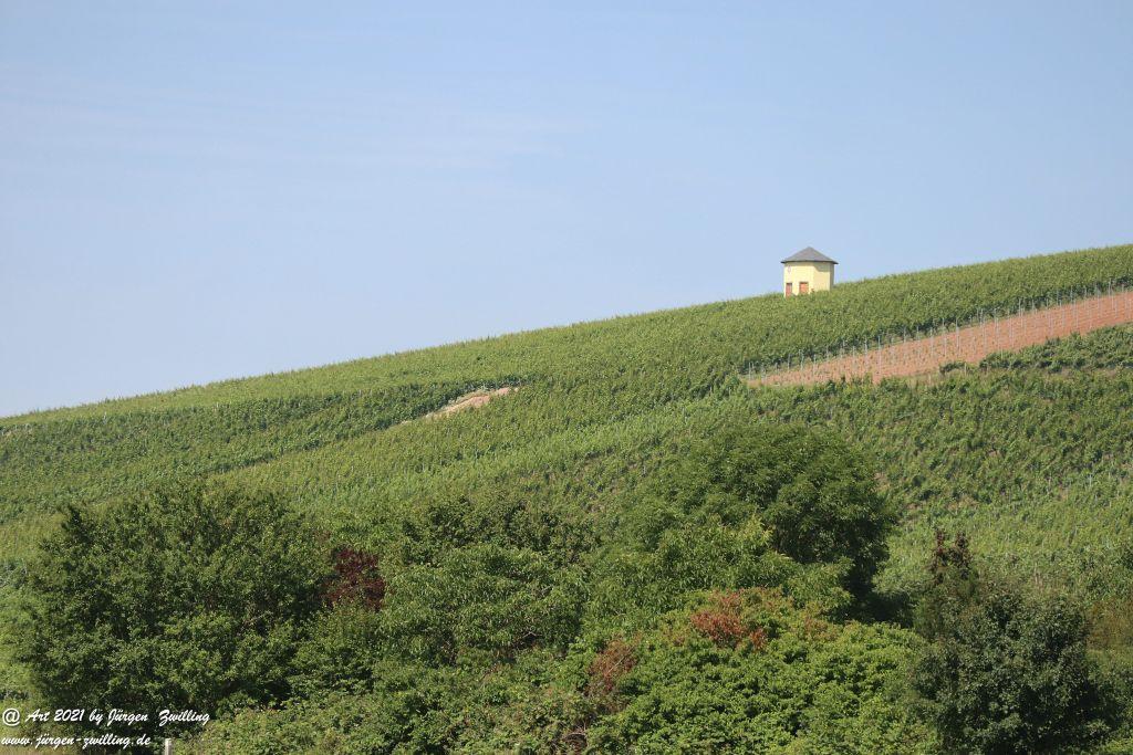 Philosophische Bildwanderung Vitaltour Eremitenpfad - Bretzenheim an der Nahe - Rheinhessen