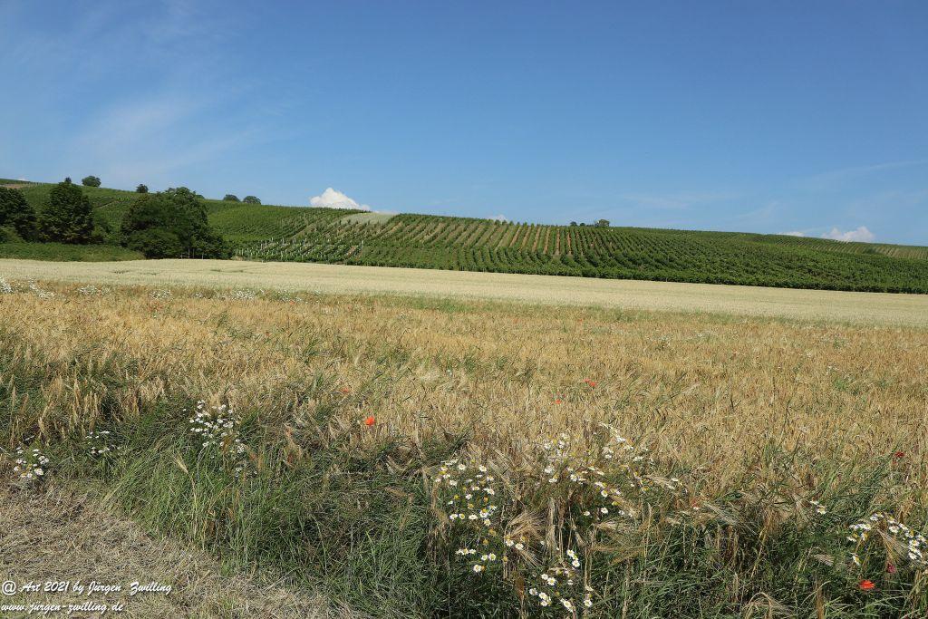 Philosophische Bildwanderung Vitaltour Eremitenpfad - Bretzenheim an der Nahe - Rheinhessen