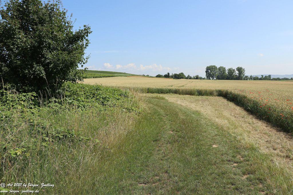 Philosophische Bildwanderung Vitaltour Eremitenpfad - Bretzenheim an der Nahe - Rheinhessen