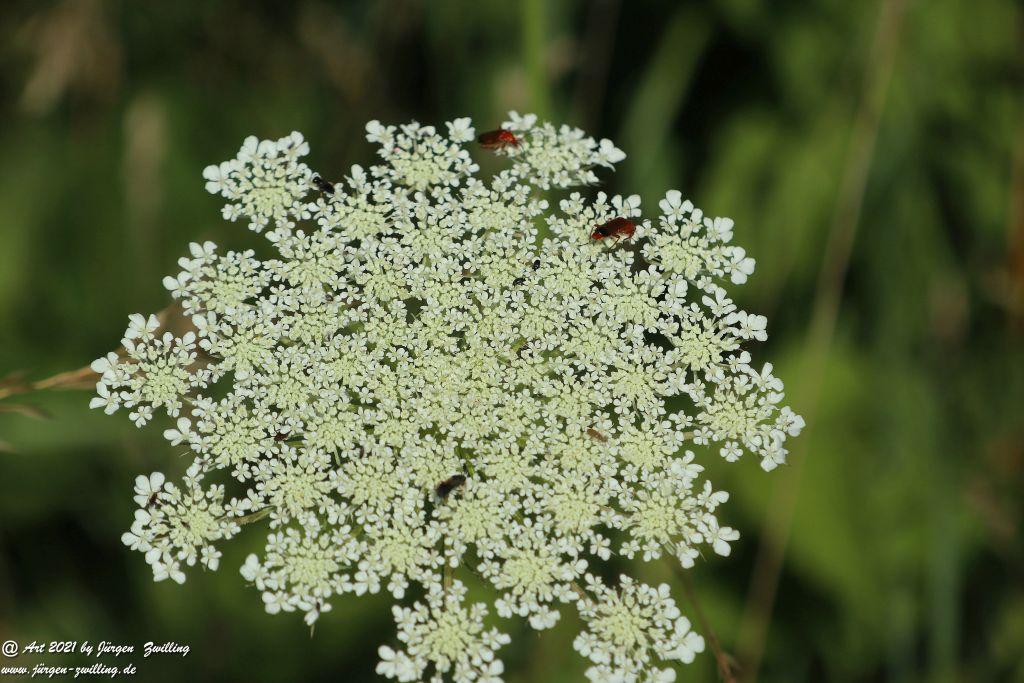 Philosophische Bildwanderung Vitaltour Eremitenpfad - Bretzenheim an der Nahe - Rheinhessen