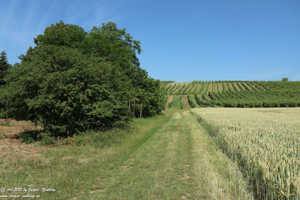 Philosophische Bildwanderung Vitaltour Eremitenpfad - Bretzenheim an der Nahe - Rheinhessen