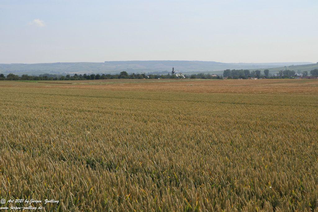 Philosophische Bildwanderung Vitaltour Eremitenpfad - Bretzenheim an der Nahe - Rheinhessen