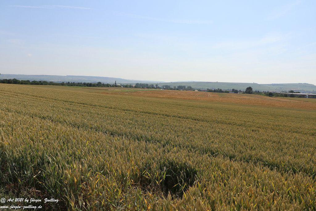 Philosophische Bildwanderung Vitaltour Eremitenpfad - Bretzenheim an der Nahe - Rheinhessen