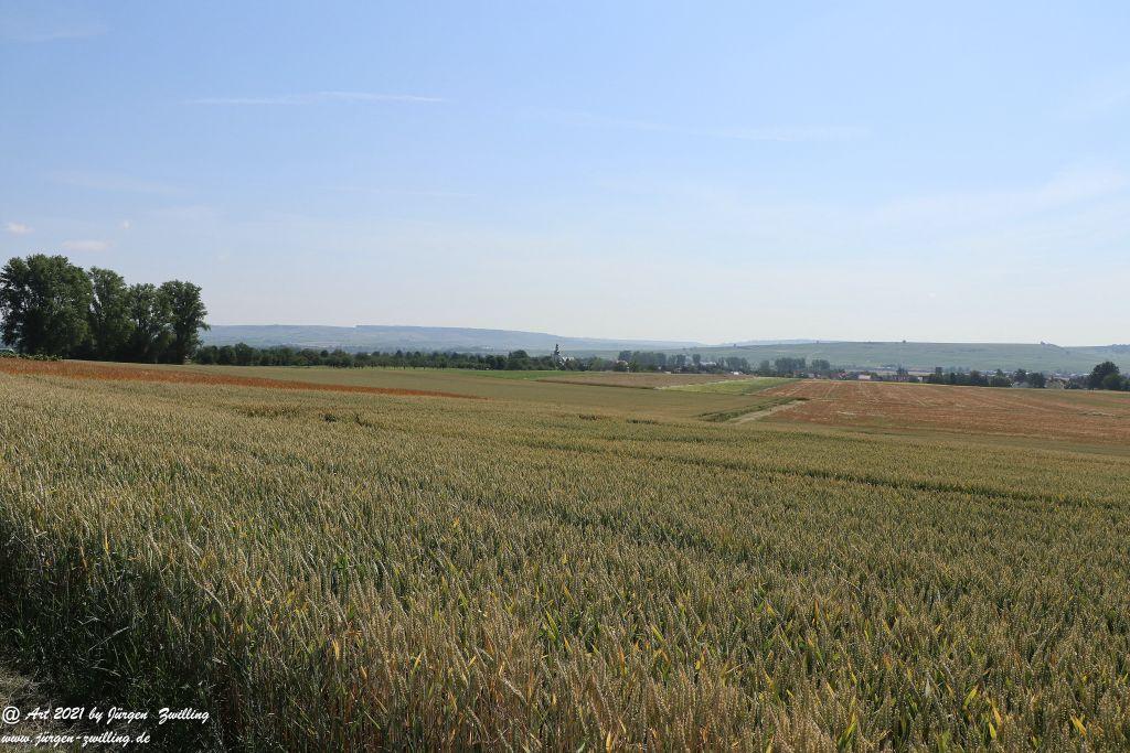 Philosophische Bildwanderung Vitaltour Eremitenpfad - Bretzenheim an der Nahe - Rheinhessen