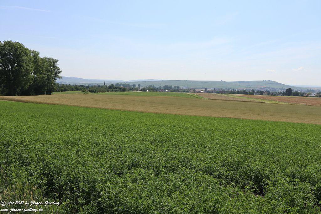 Philosophische Bildwanderung Vitaltour Eremitenpfad - Bretzenheim an der Nahe - Rheinhessen