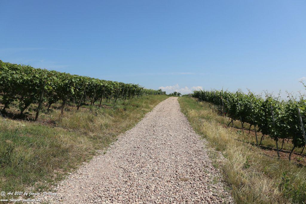 Philosophische Bildwanderung Vitaltour Eremitenpfad - Bretzenheim an der Nahe - Rheinhessen