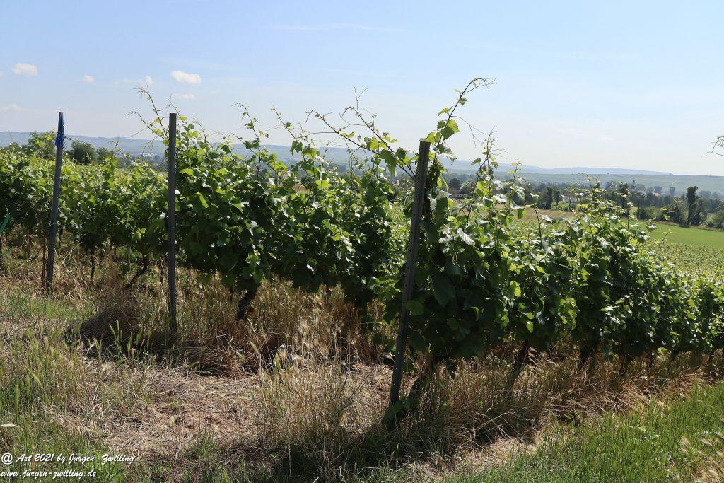 Philosophische Bildwanderung Vitaltour Eremitenpfad - Bretzenheim an der Nahe - Rheinhessen