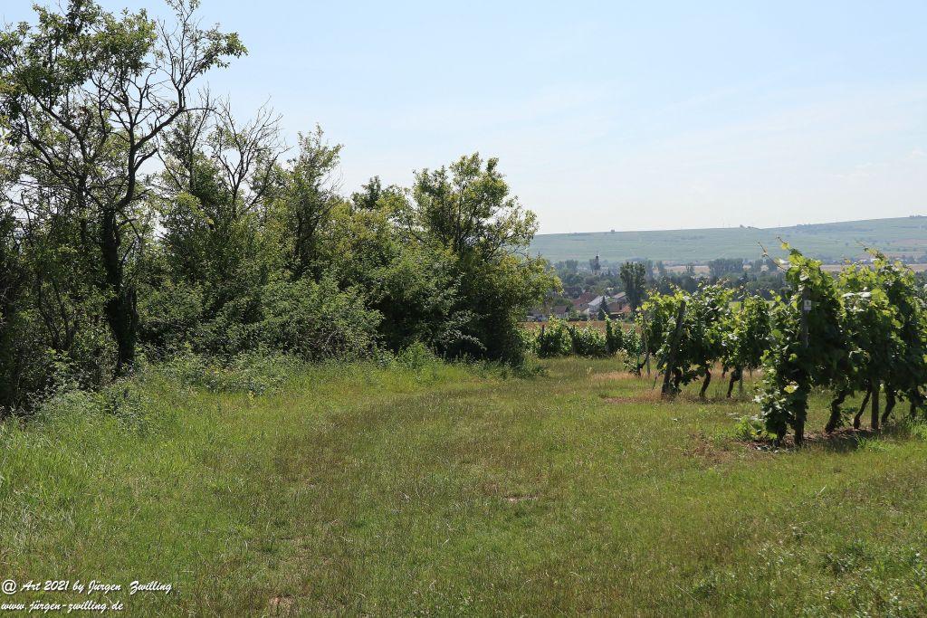 Philosophische Bildwanderung Vitaltour Eremitenpfad - Bretzenheim an der Nahe - Rheinhessen