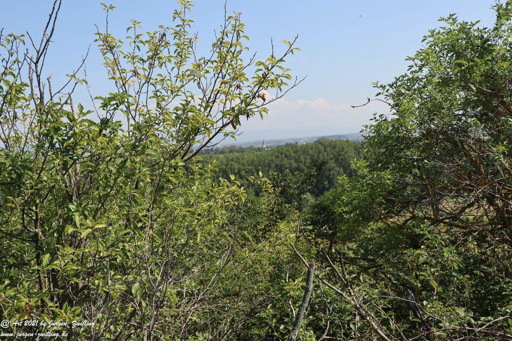 Philosophische Bildwanderung Vitaltour Eremitenpfad - Bretzenheim an der Nahe - Rheinhessen