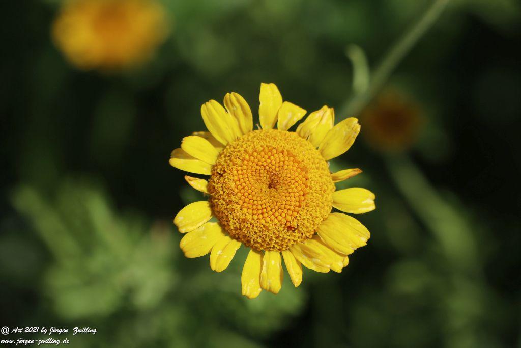 Philosophische Bildwanderung Vitaltour Eremitenpfad - Bretzenheim an der Nahe - Rheinhessen
