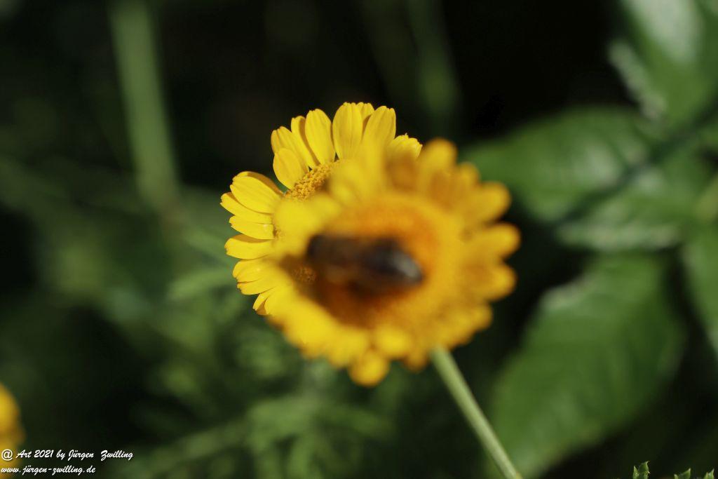 Philosophische Bildwanderung Vitaltour Eremitenpfad - Bretzenheim an der Nahe - Rheinhessen