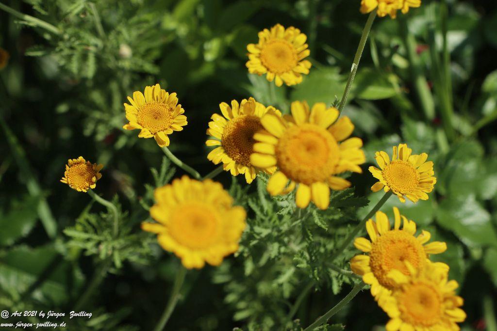 Philosophische Bildwanderung Vitaltour Eremitenpfad - Bretzenheim an der Nahe - Rheinhessen