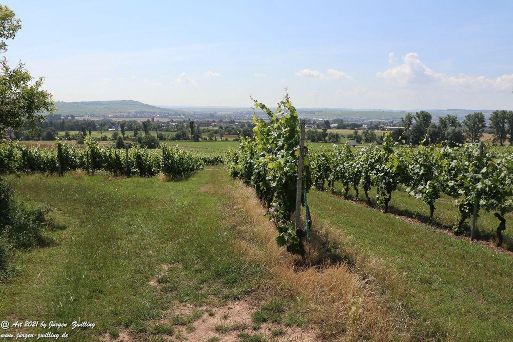 Philosophische Bildwanderung Vitaltour Eremitenpfad - Bretzenheim an der Nahe - Rheinhessen