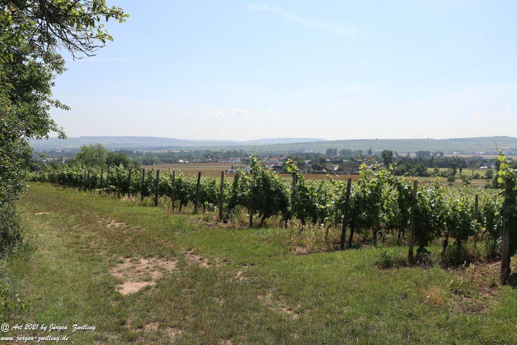Philosophische Bildwanderung Vitaltour Eremitenpfad - Bretzenheim an der Nahe - Rheinhessen