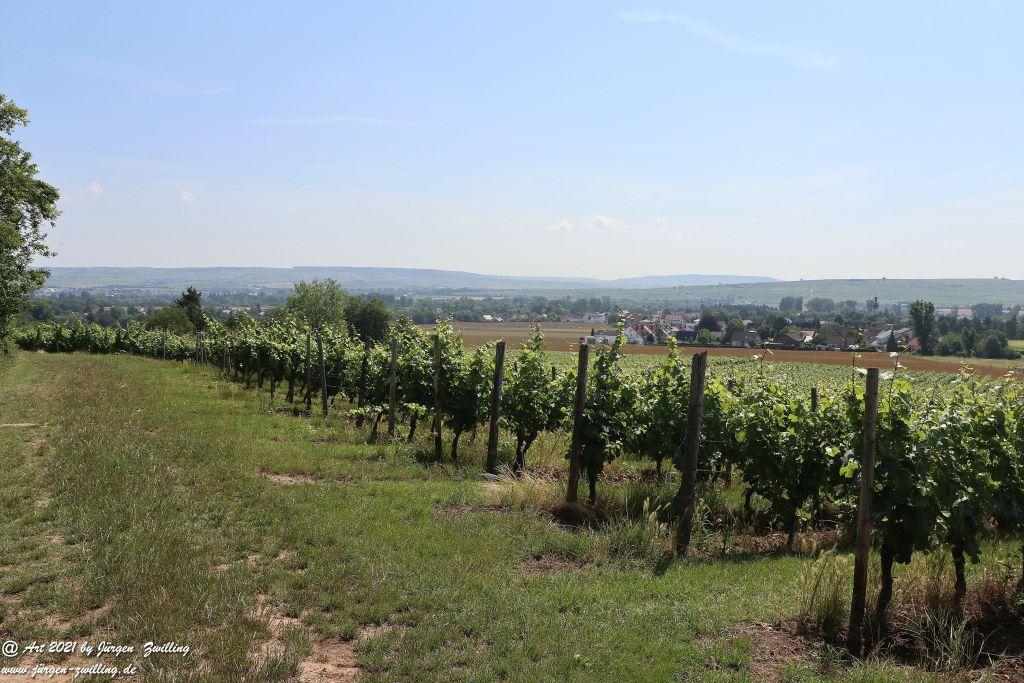 Philosophische Bildwanderung Vitaltour Eremitenpfad - Bretzenheim an der Nahe - Rheinhessen
