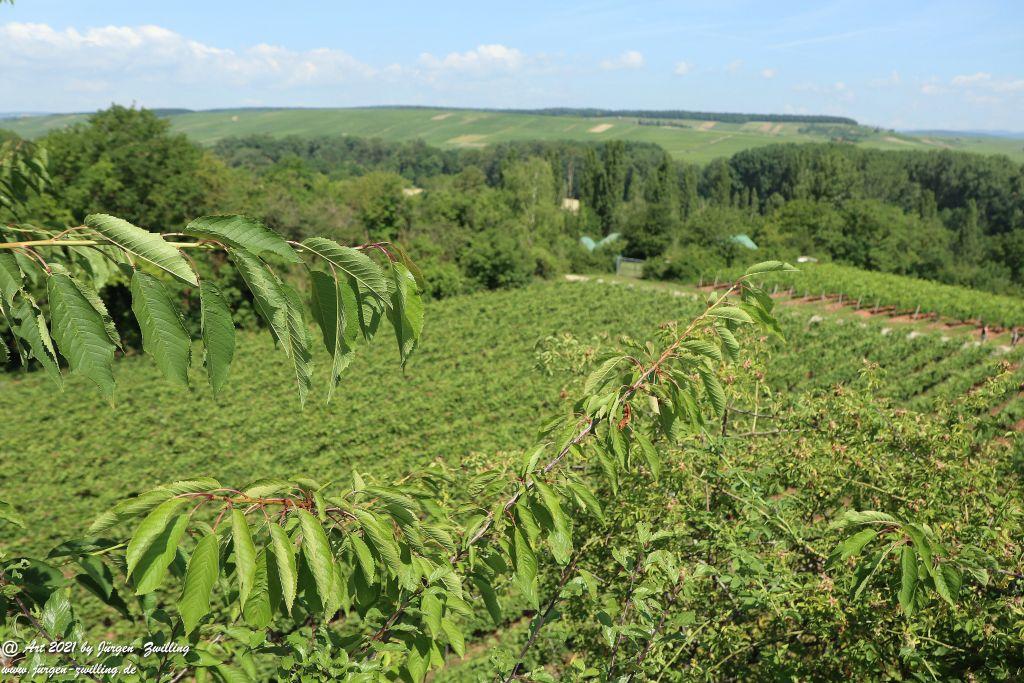 Philosophische Bildwanderung Vitaltour Eremitenpfad - Bretzenheim an der Nahe - Rheinhessen