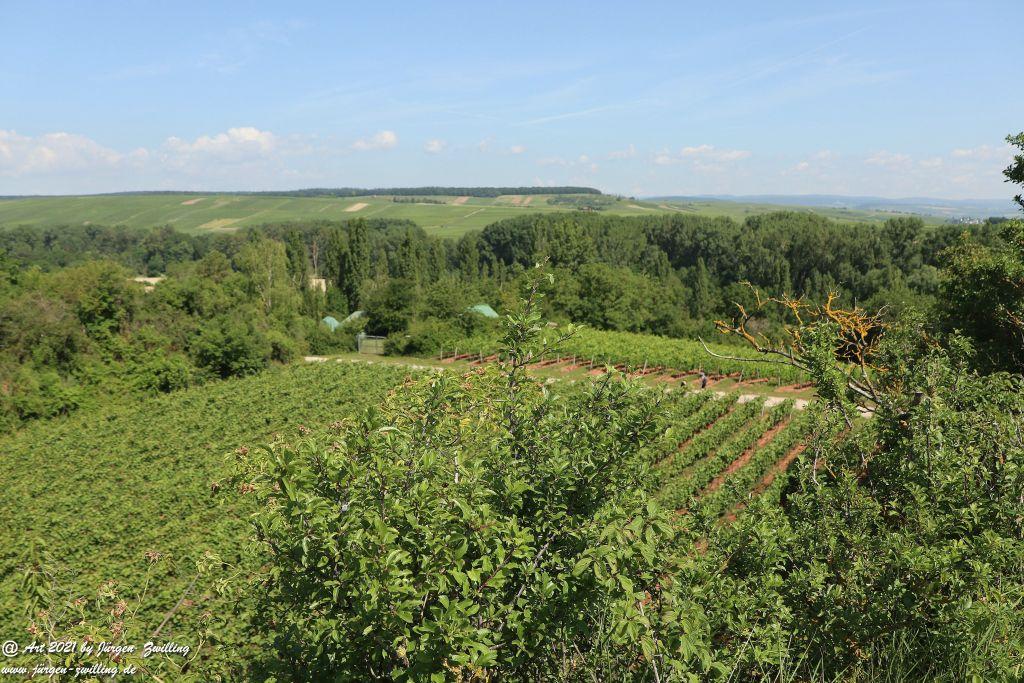 Philosophische Bildwanderung Vitaltour Eremitenpfad - Bretzenheim an der Nahe - Rheinhessen