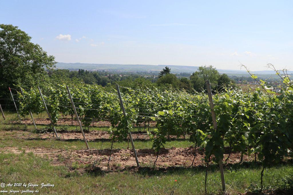 Philosophische Bildwanderung Vitaltour Eremitenpfad - Bretzenheim an der Nahe - Rheinhessen