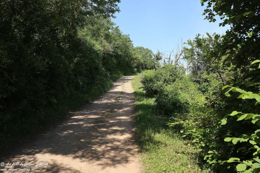 Philosophische Bildwanderung Vitaltour Eremitenpfad - Bretzenheim an der Nahe - Rheinhessen