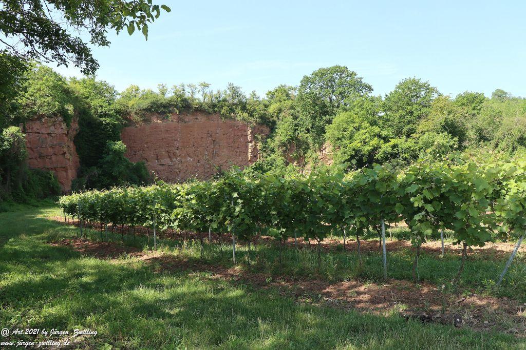 Philosophische Bildwanderung Vitaltour Eremitenpfad - Bretzenheim an der Nahe - Rheinhessen