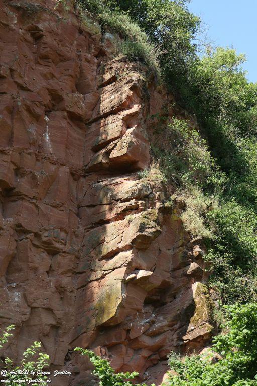 Philosophische Bildwanderung Vitaltour Eremitenpfad - Bretzenheim an der Nahe - Rheinhessen